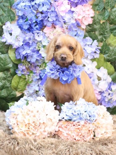 20250605紋之助くん